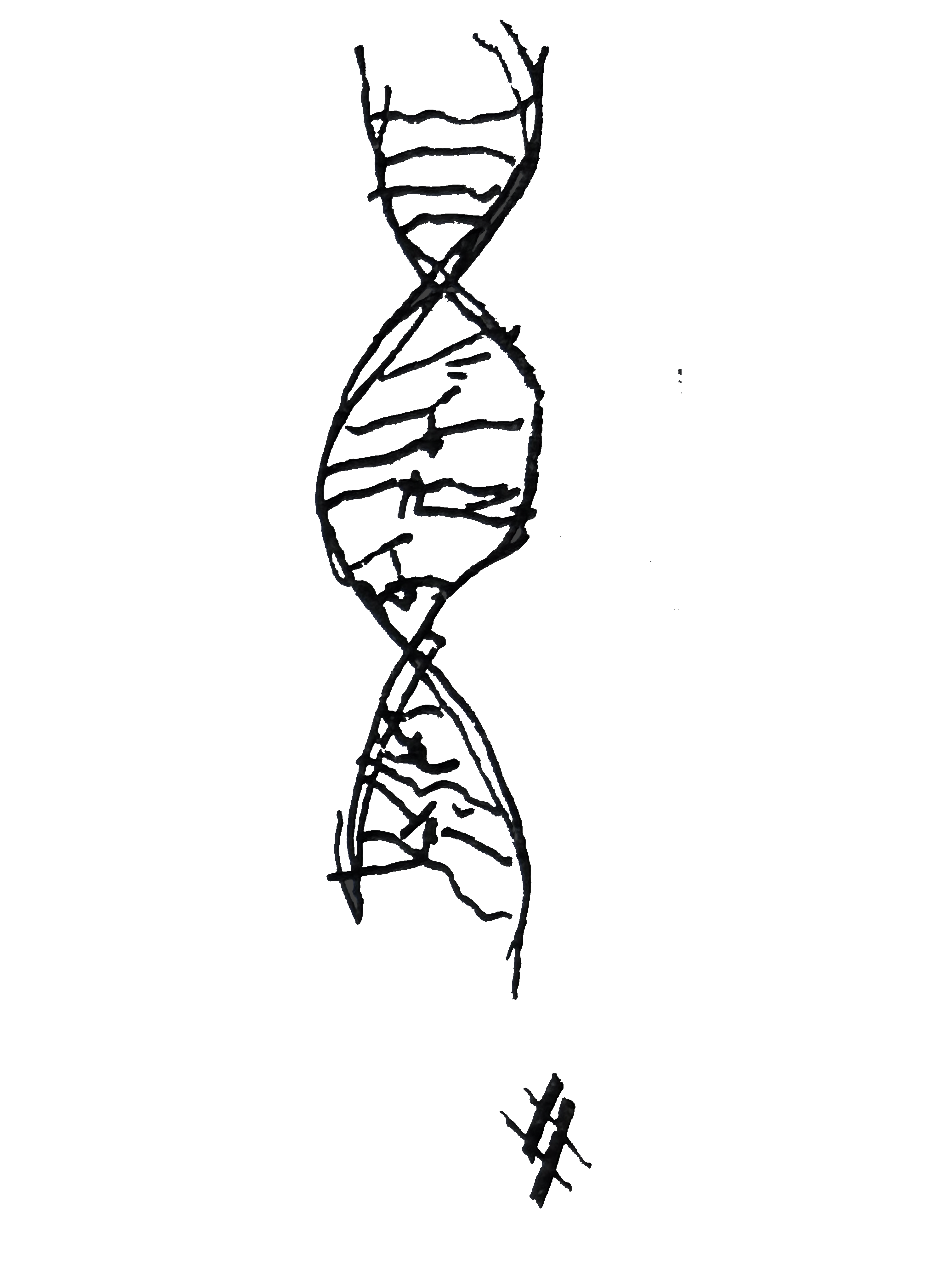 Symbol 2