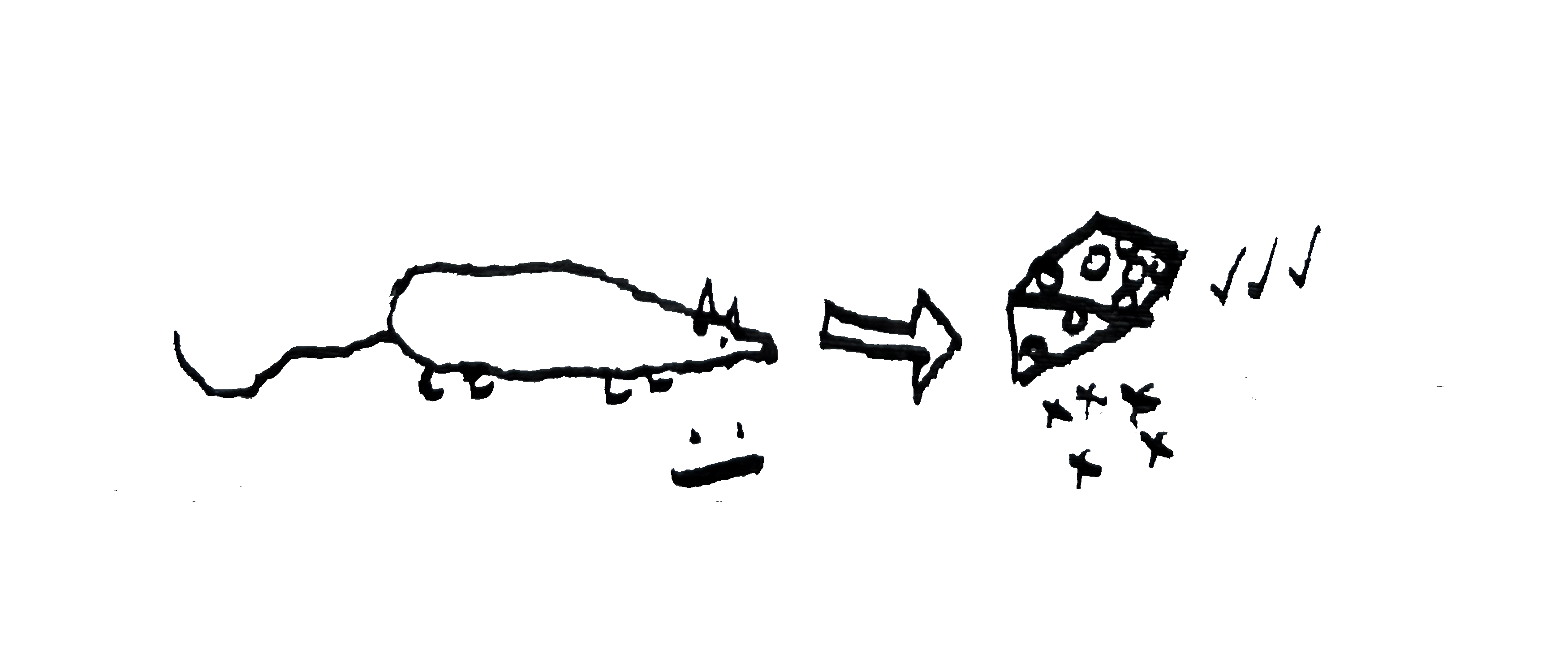 Symbol 5